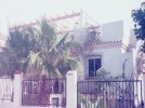 Miramar III, Torre del Moro - Front view of the bungalow which has palm trees in the gardens