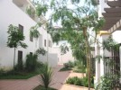 La Maestranza - View from the gate of the apartment towards one of the pool areas